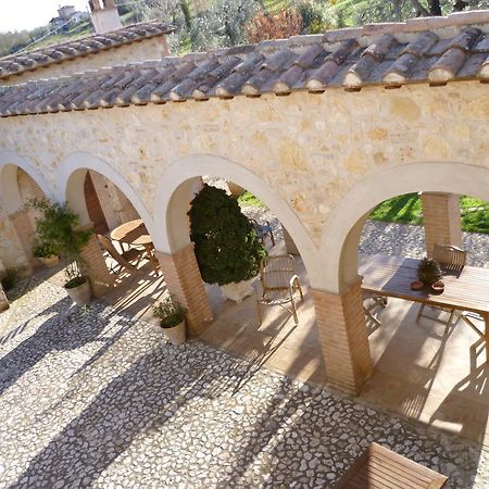 אמליה Agriturismo Poggio Della Rosa מראה חיצוני תמונה