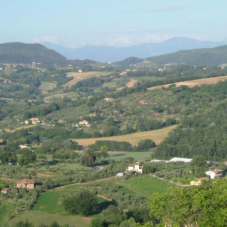 אמליה Agriturismo Poggio Della Rosa מראה חיצוני תמונה