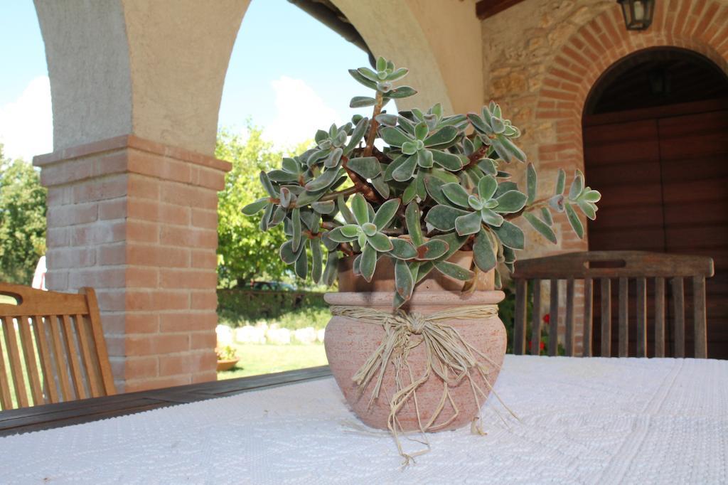 אמליה Agriturismo Poggio Della Rosa מראה חיצוני תמונה