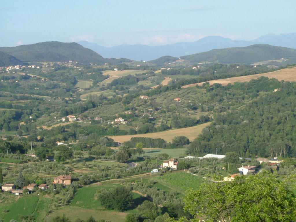 אמליה Agriturismo Poggio Della Rosa מראה חיצוני תמונה